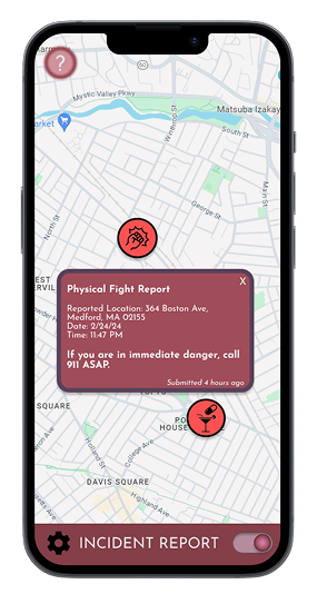 Haven incident report — physical fight